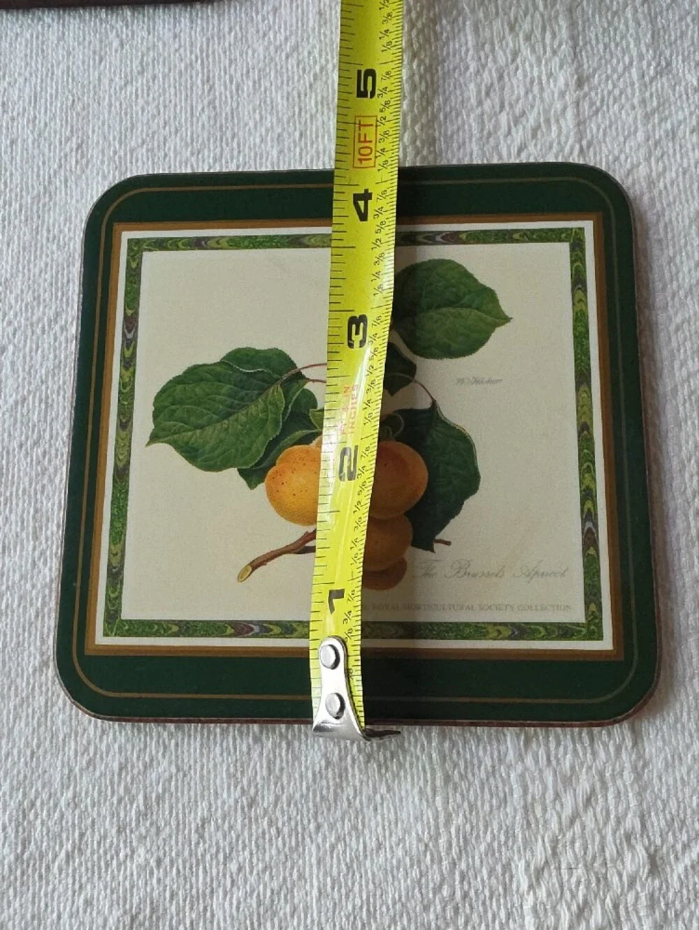 Pimpernel Vintage Botanical Fruit Coaster Set in Green and Cream